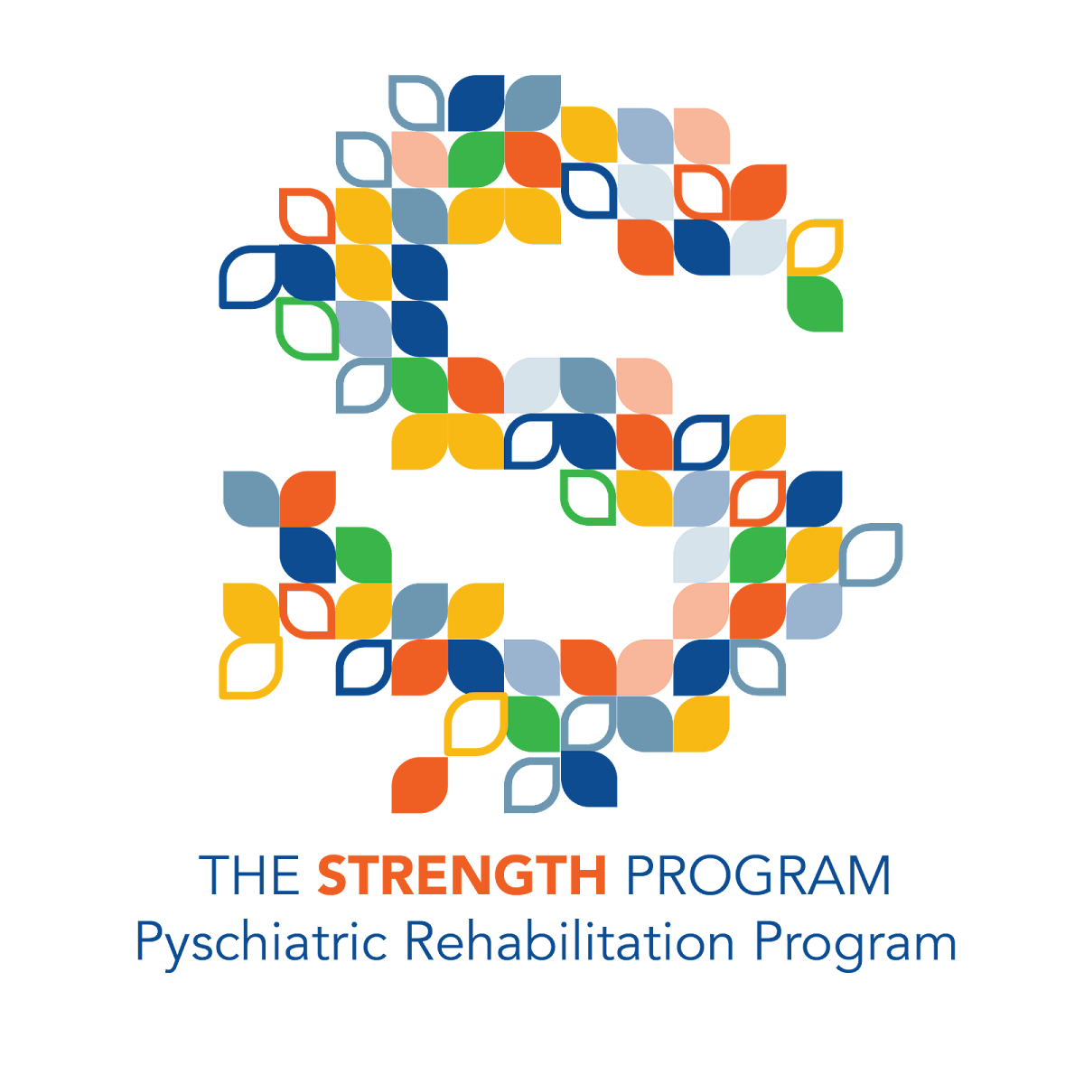 The Strength Program - Photo 4