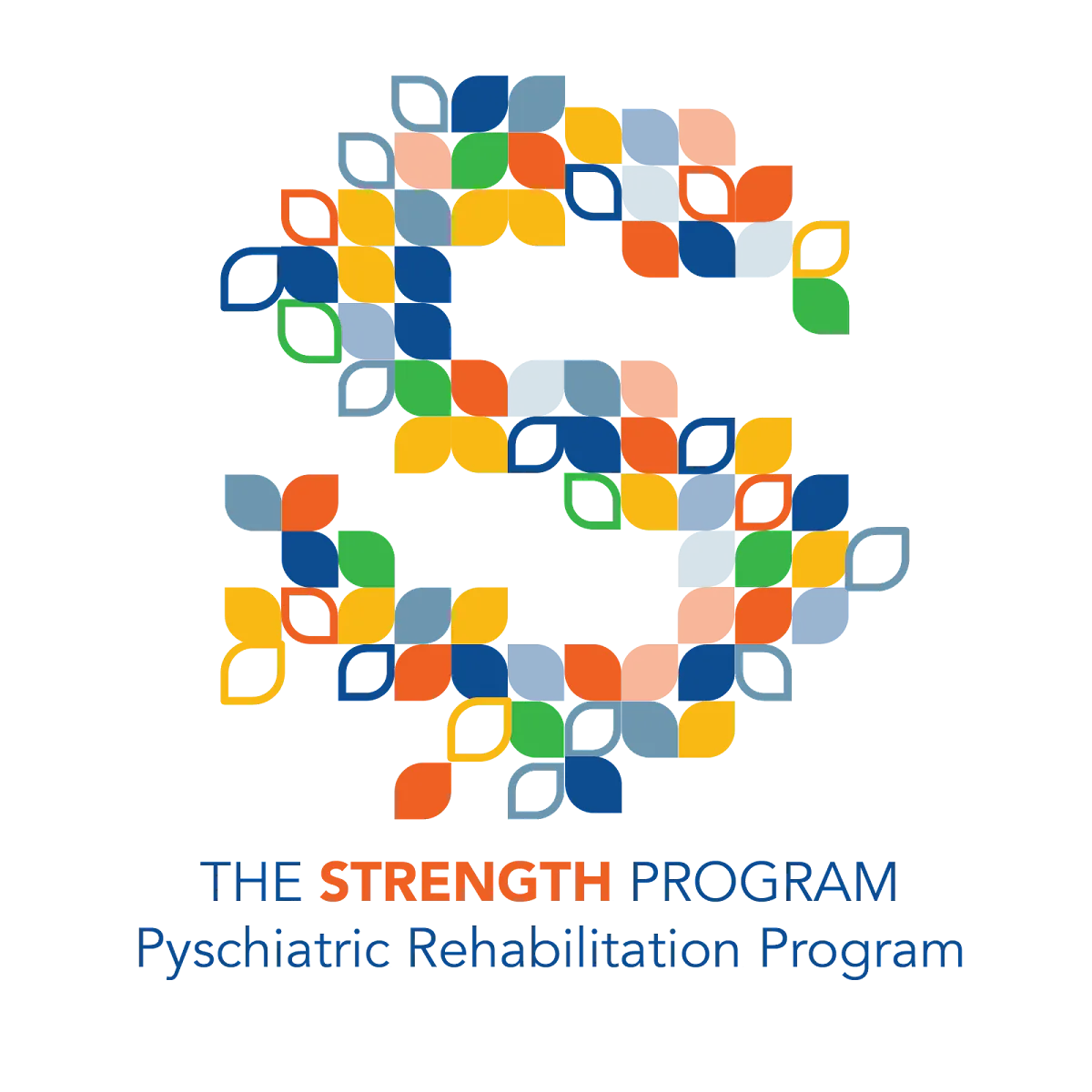 The Strength Program - Photo 2