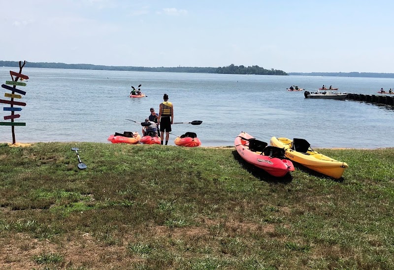 Maryland Recovery - Photo 2