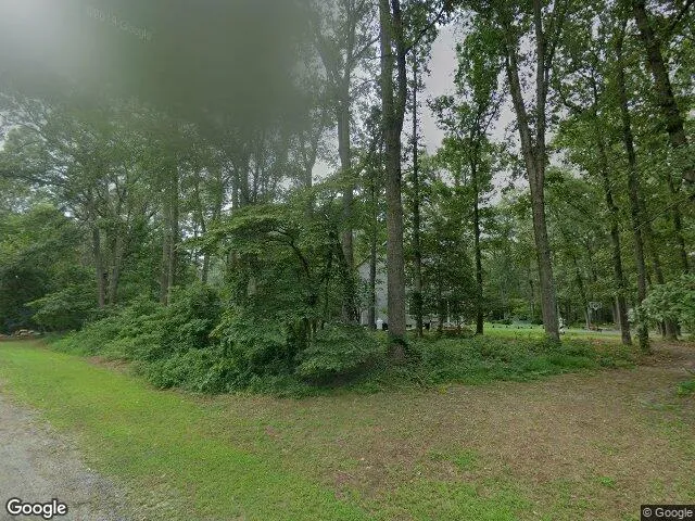 Tranquility Woods LLC - 사진 6