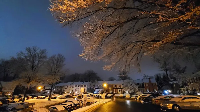 Chase Brexton Healthcare