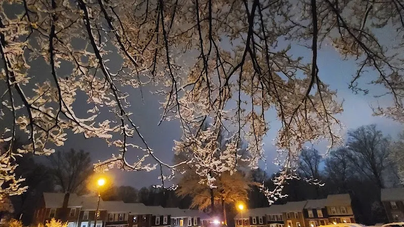 Chase Brexton Healthcare - Photo 5