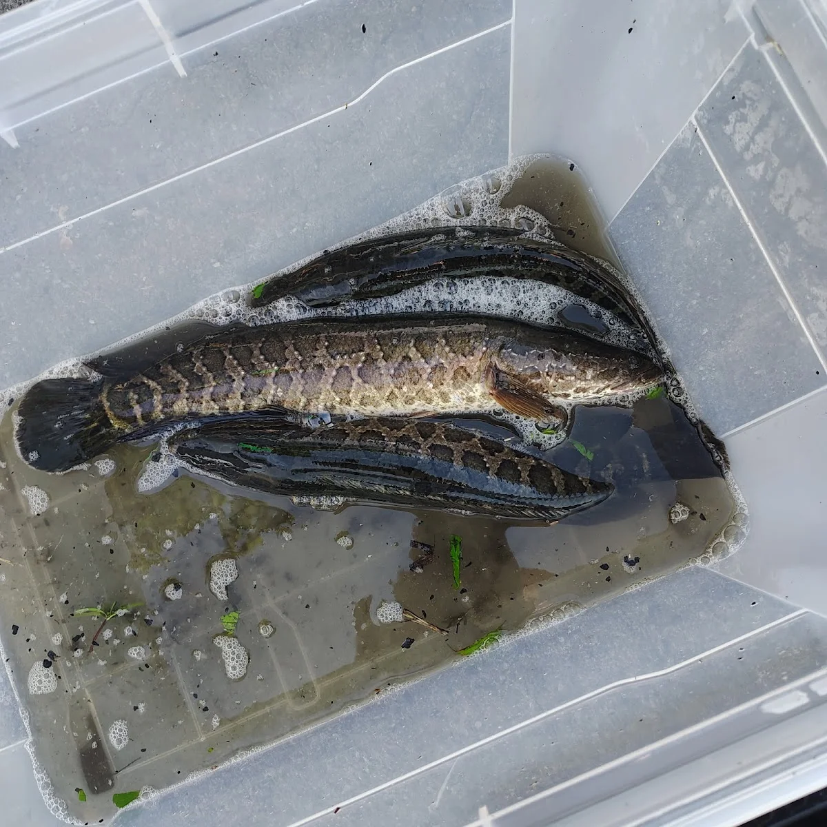 Humble Beginnings Recovery - Photo 5